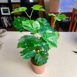 Small Faux Plant 🌱